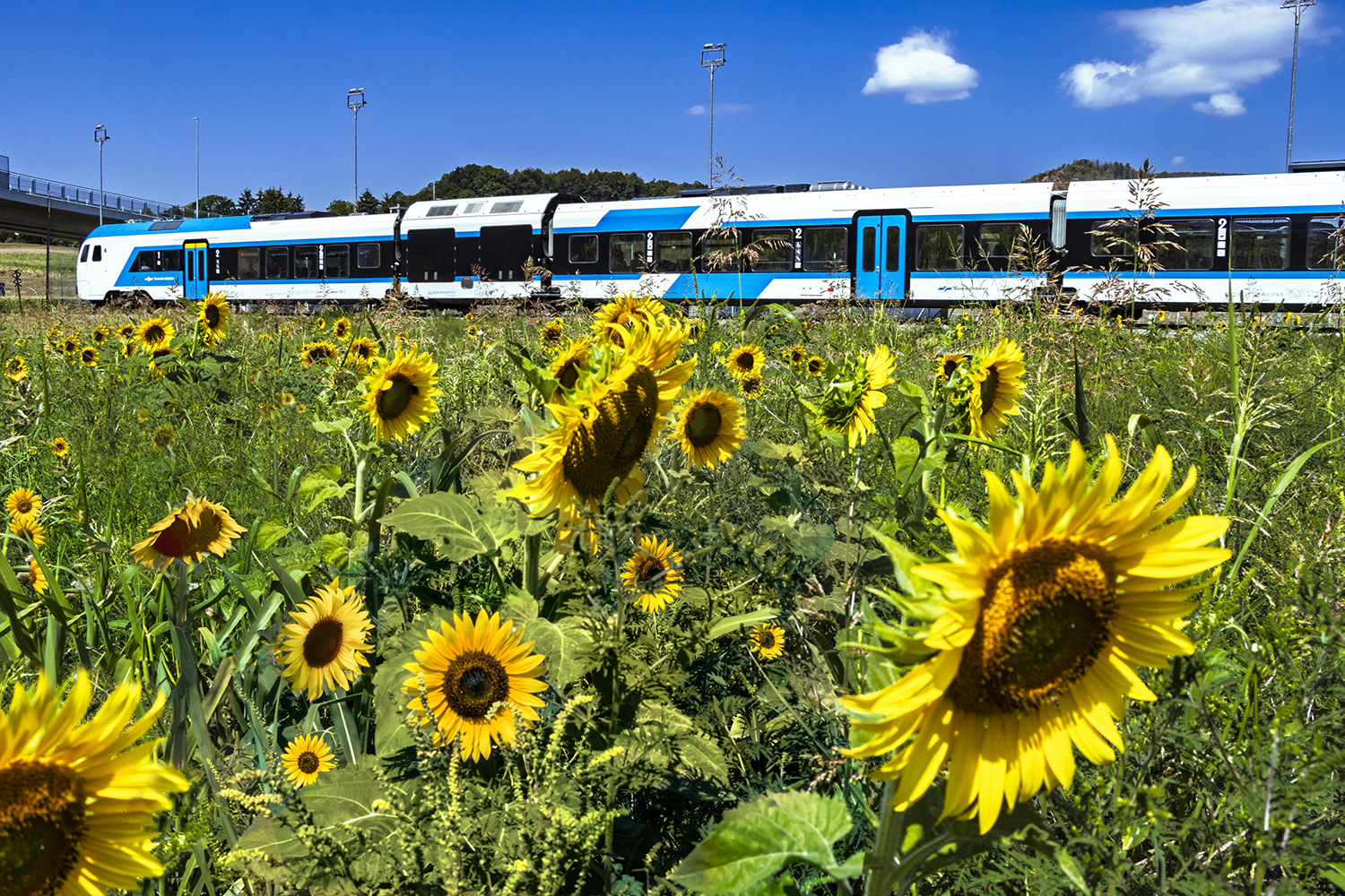 ZEN26-3737_Ivancna_Gorica3_mk__X_Vir_Misko_Kranjec