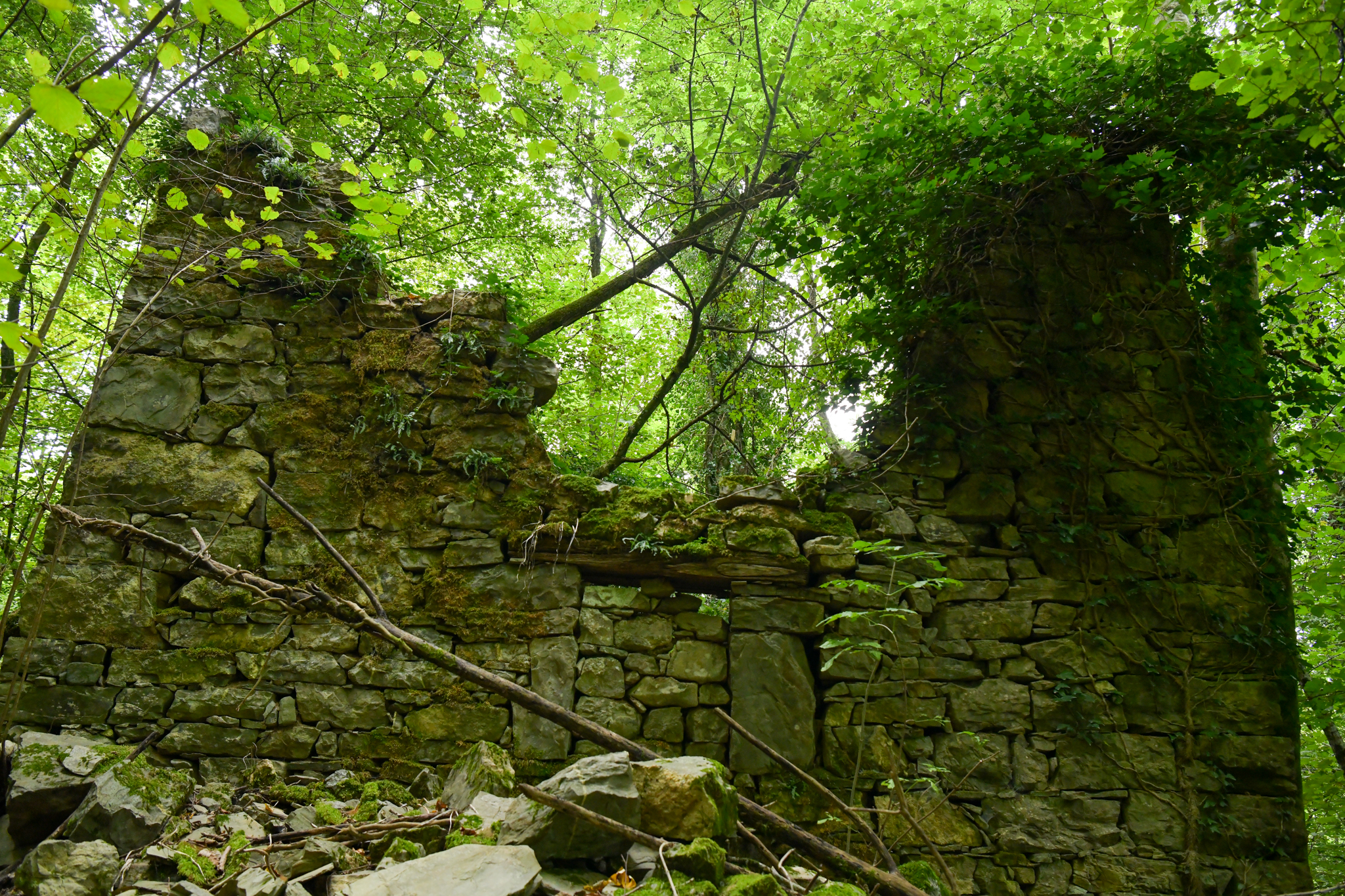 Vas Hoščina v dolini Idrije