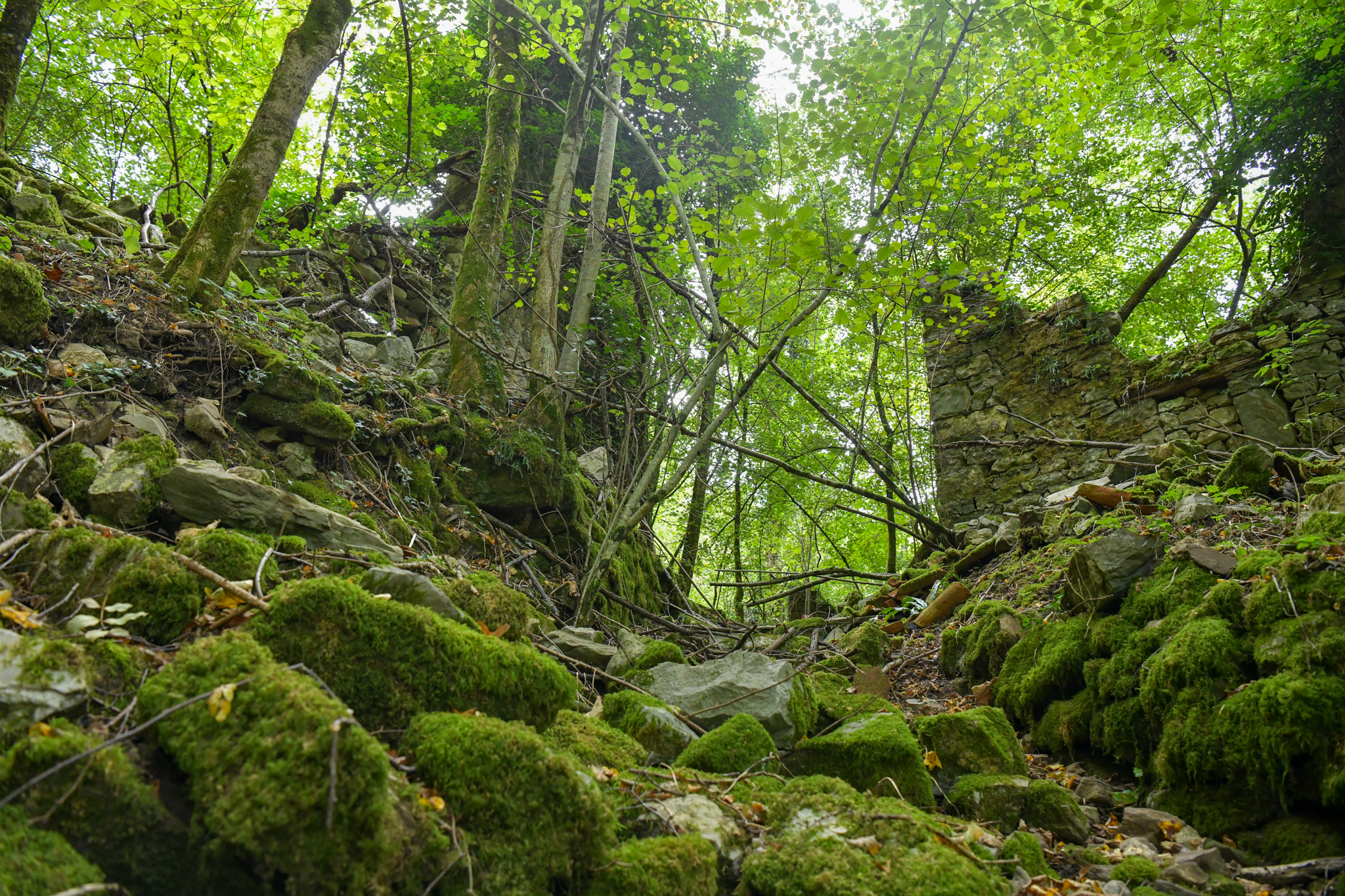 Vas Hoščina v dolini Idrije