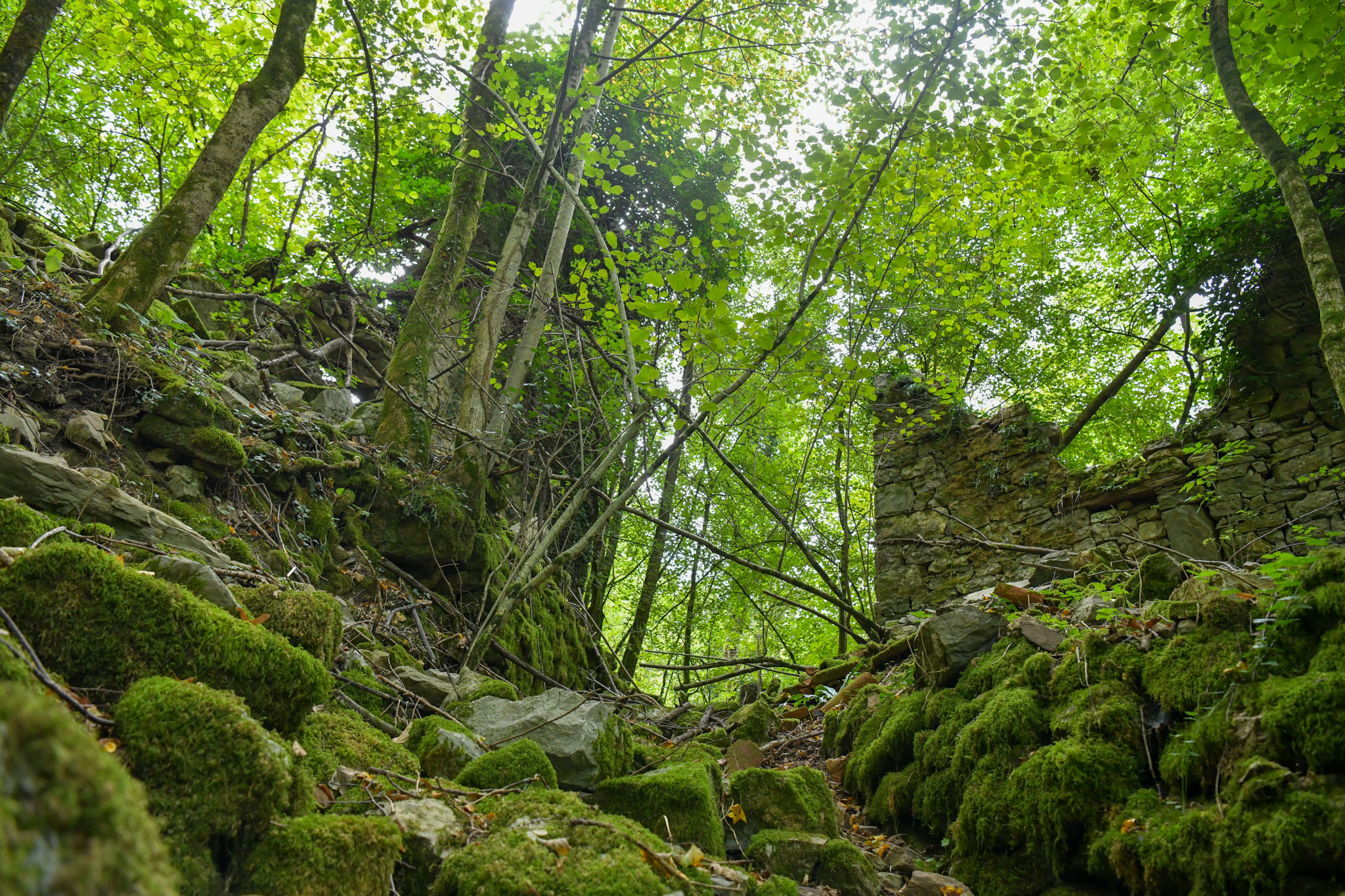 Vas Hoščina v dolini Idrije