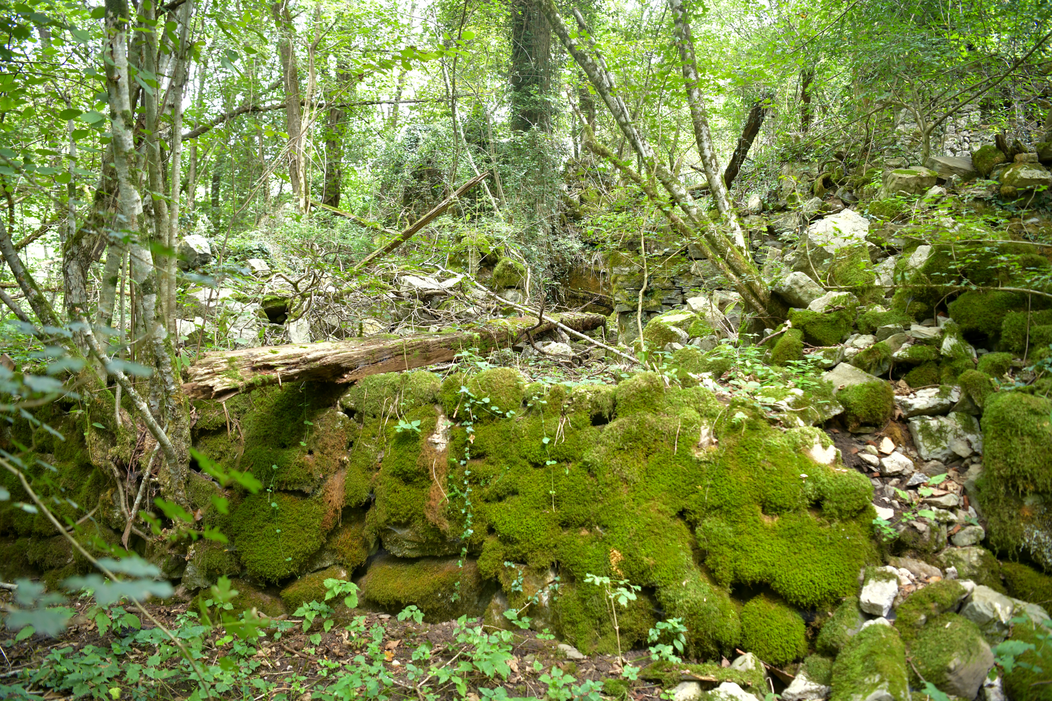 Vas Hoščina v dolini Idrije