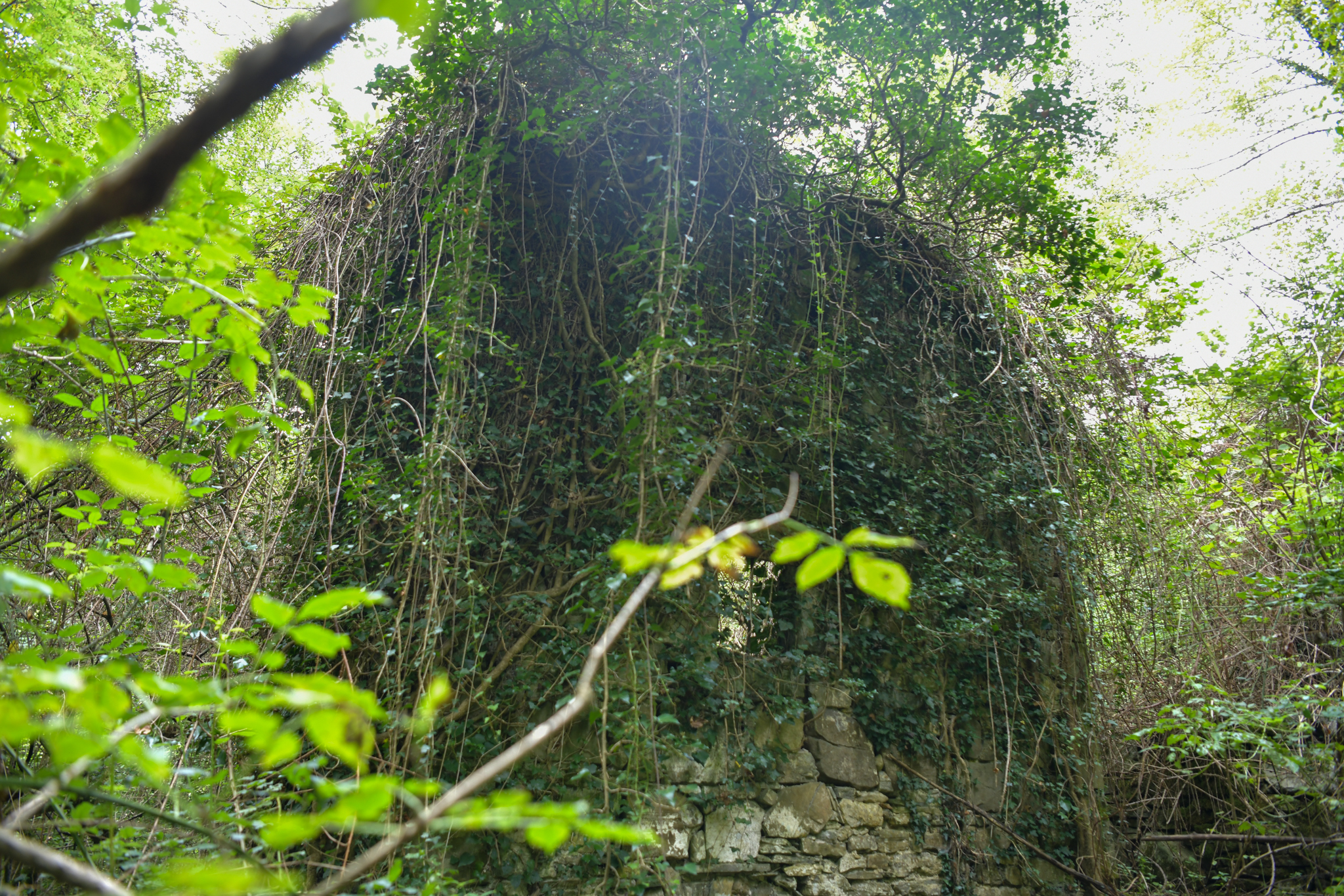 Vas Hoščina v dolini Idrije