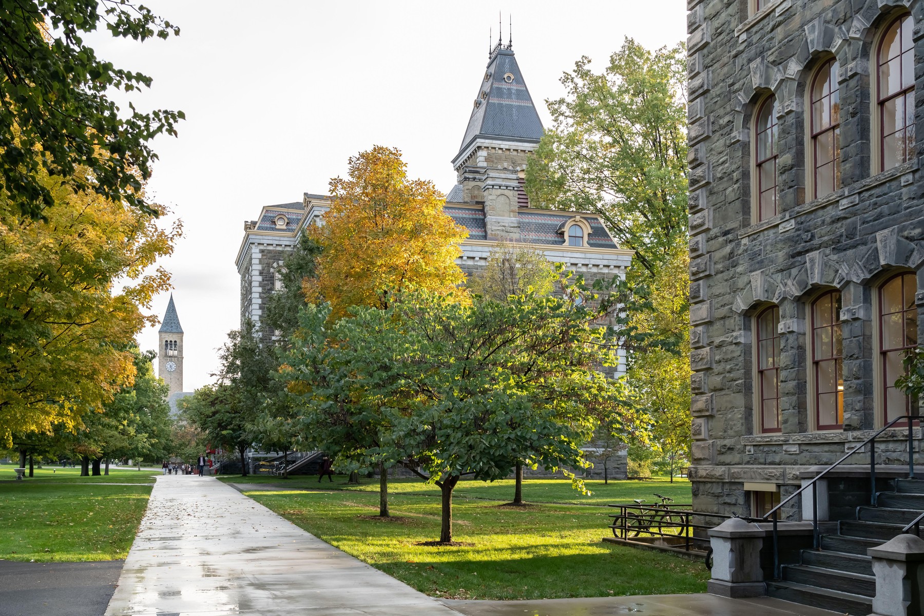 Univerza Cornell