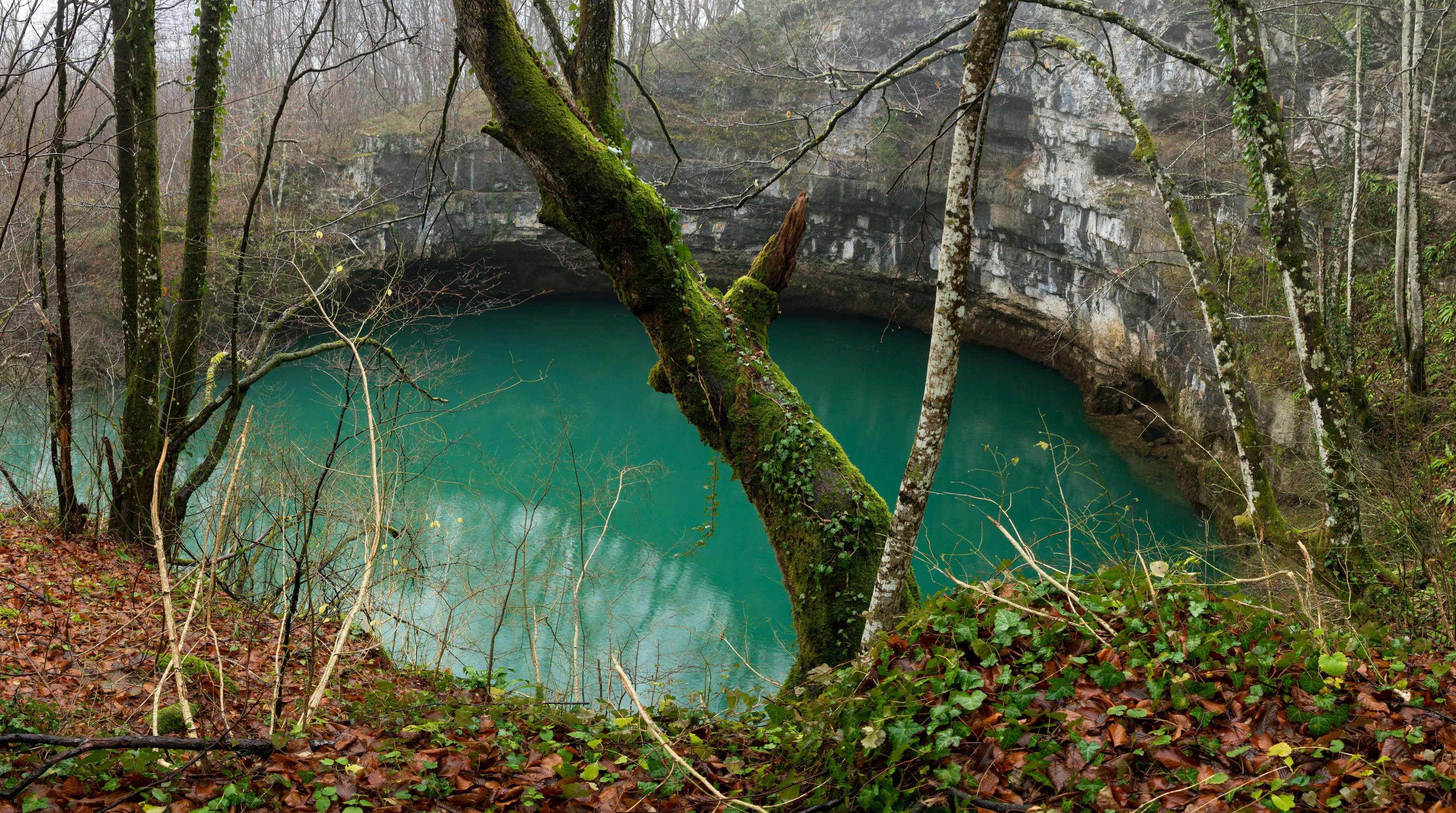 Bobijaško oko