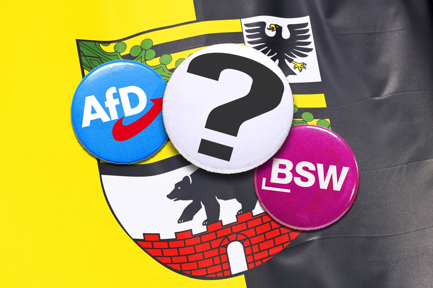 AfD in BSW