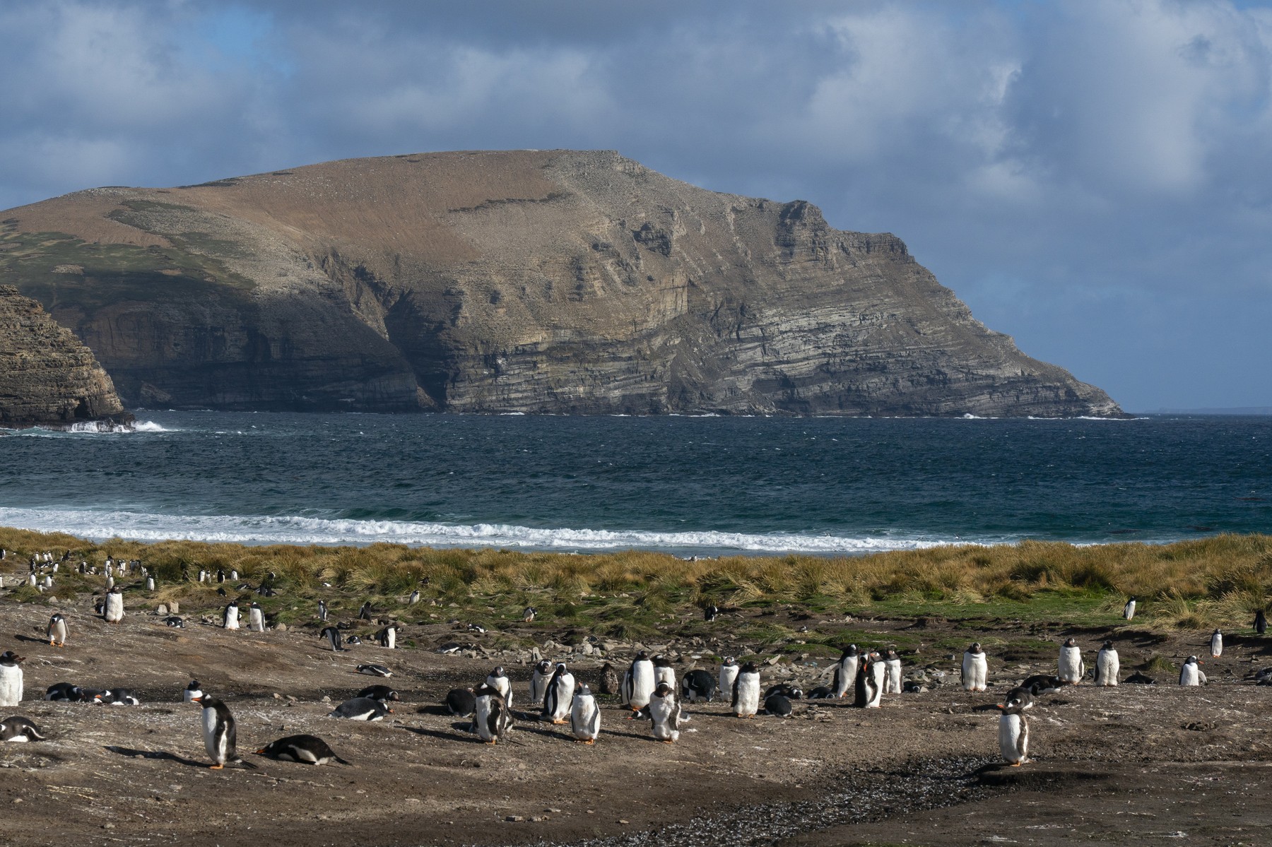 Falklandski otoki