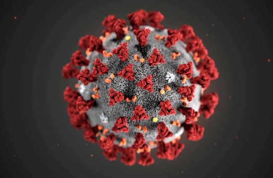 Ilustracija koronavirusa