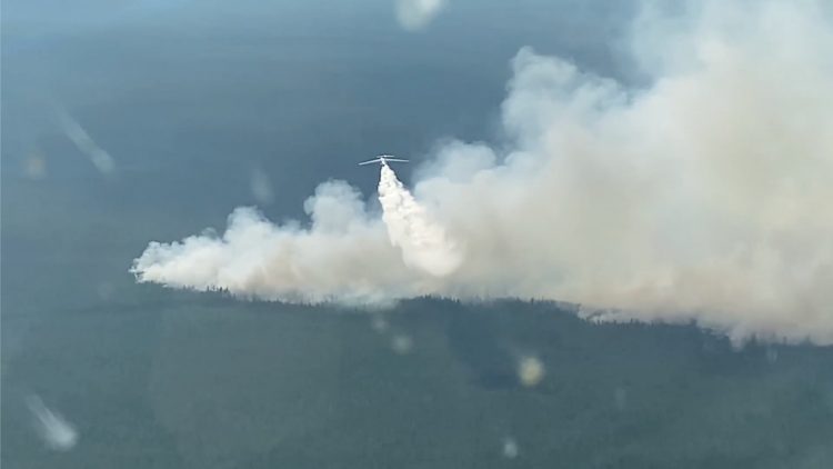 Gozdni požari v Sibiriji