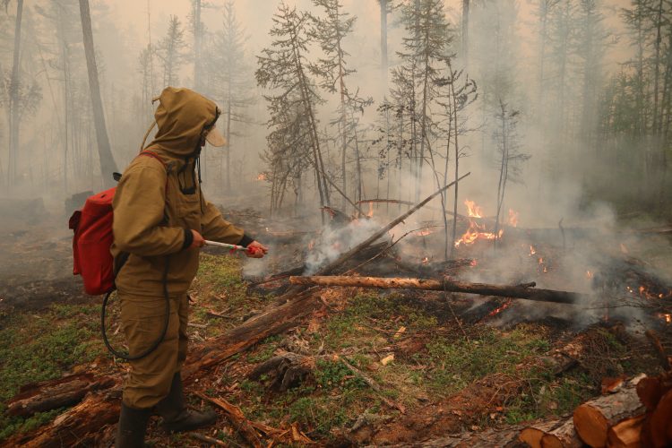 Gozdni požari v Sibiriji
