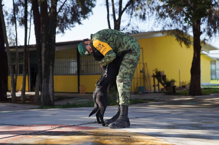 Mehiški vojak objema psa