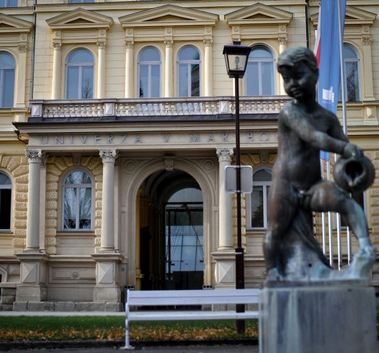 Fakulteta Univerze v Mariboru