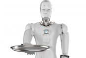 Humanoidni robot