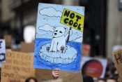 Protest podnebne spremembe