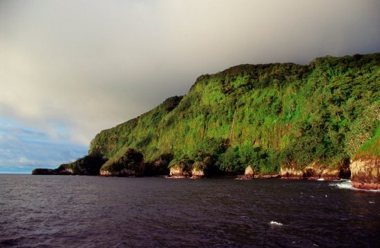 Kokosov otok