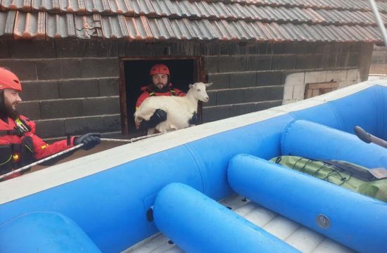 Rešena koza: poplave v BiH