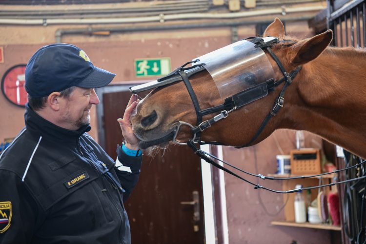 Policijski konj Lann in policist