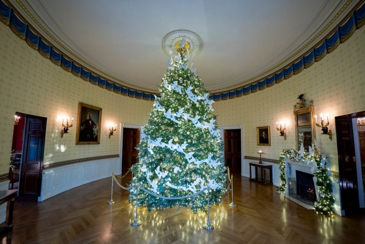 Jill Biden in božična dekoracija