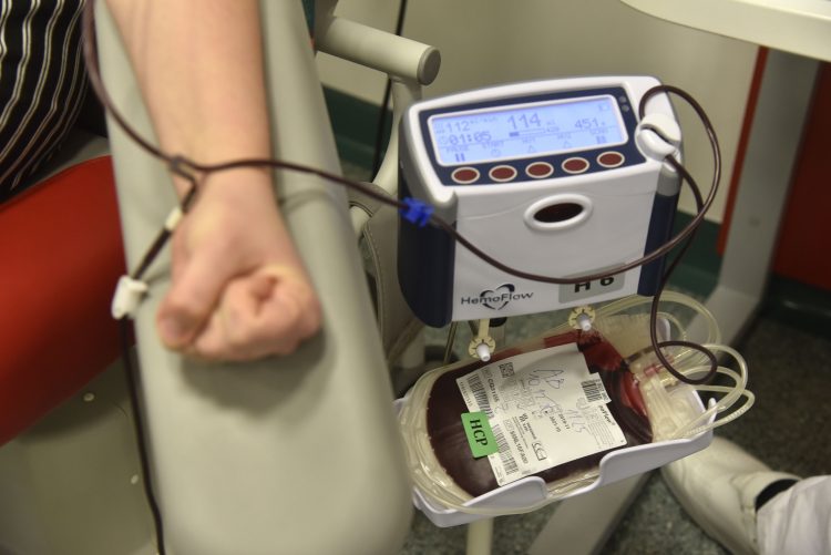 darovanje krvi, transfuzija