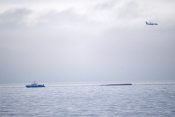 Trčenje tovornih ladji v Baltskem morju