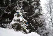 Zasneženo božično novoletno drevesce