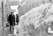 Zima 1952, sneg