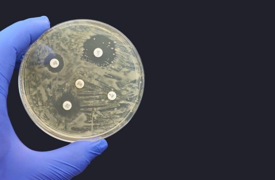 Odpornost bakterij na antibiotike