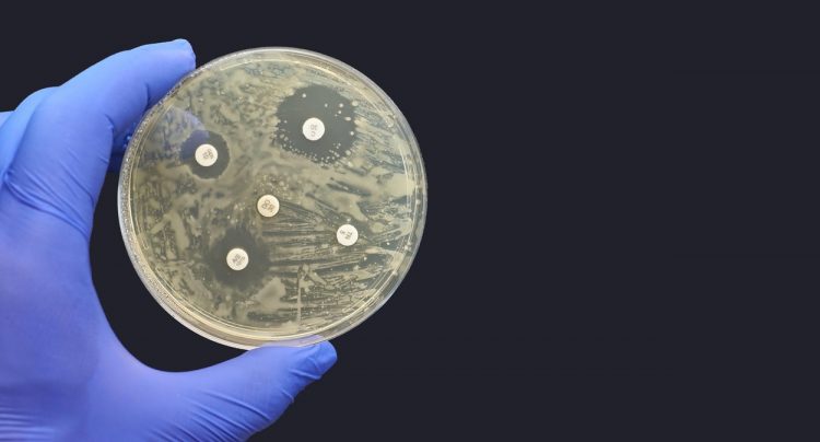 Odpornost bakterij na antibiotike