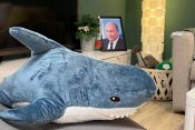 Putin, Ikea