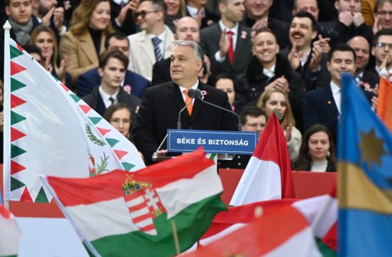 Viktor Orban, Madžarska volitve