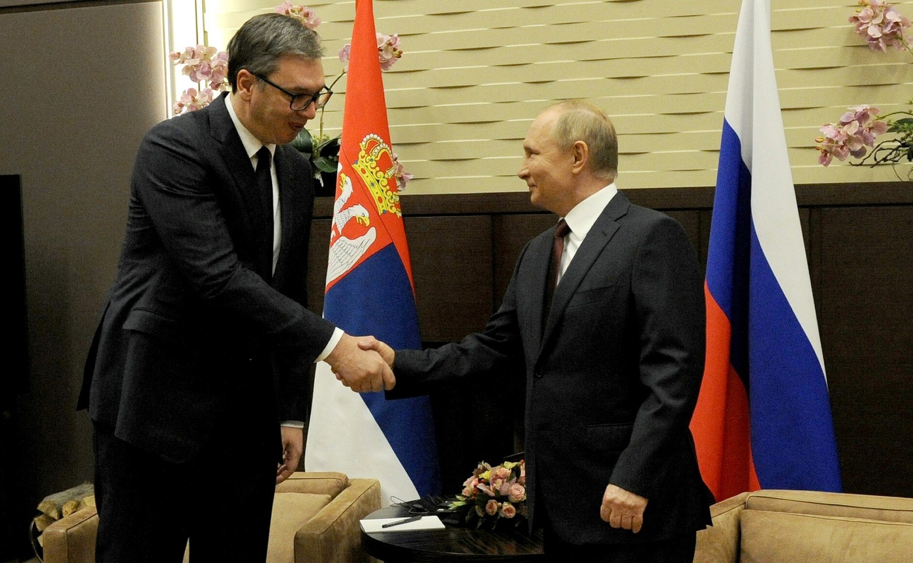 Aleksander Vučić, Vladimir Putin