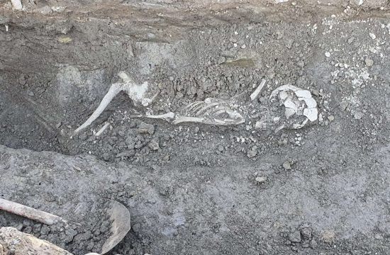 človeški skelet v Gornji Radgoni