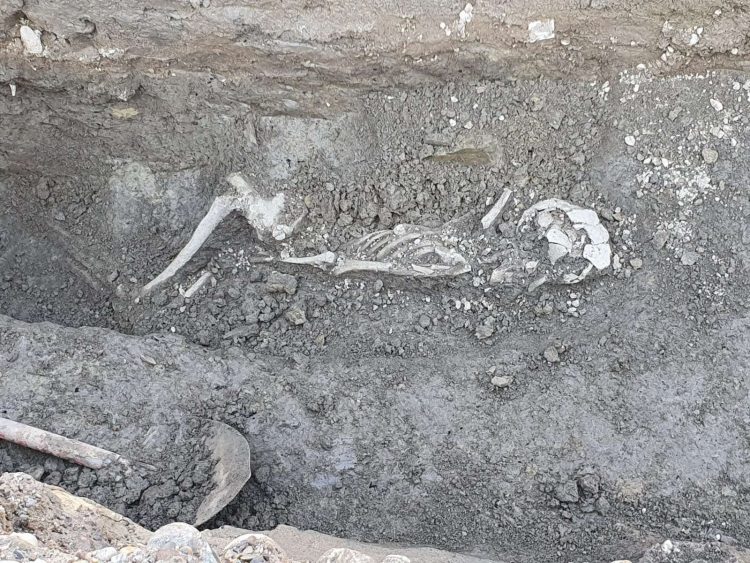 človeški skelet v Gornji Radgoni