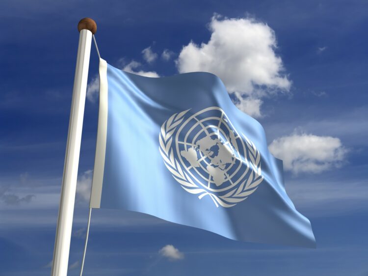 Združeni narodi, zastava