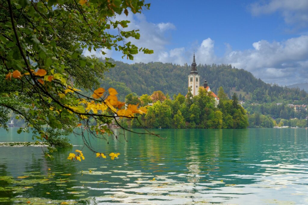 Bled