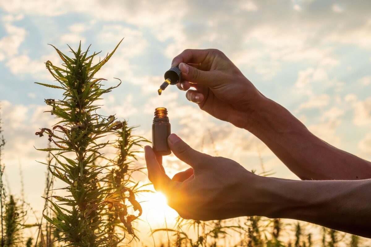 “Ne razumem, zakaj bi zdrav človek užival CBD”