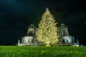 božično drevo Rim
