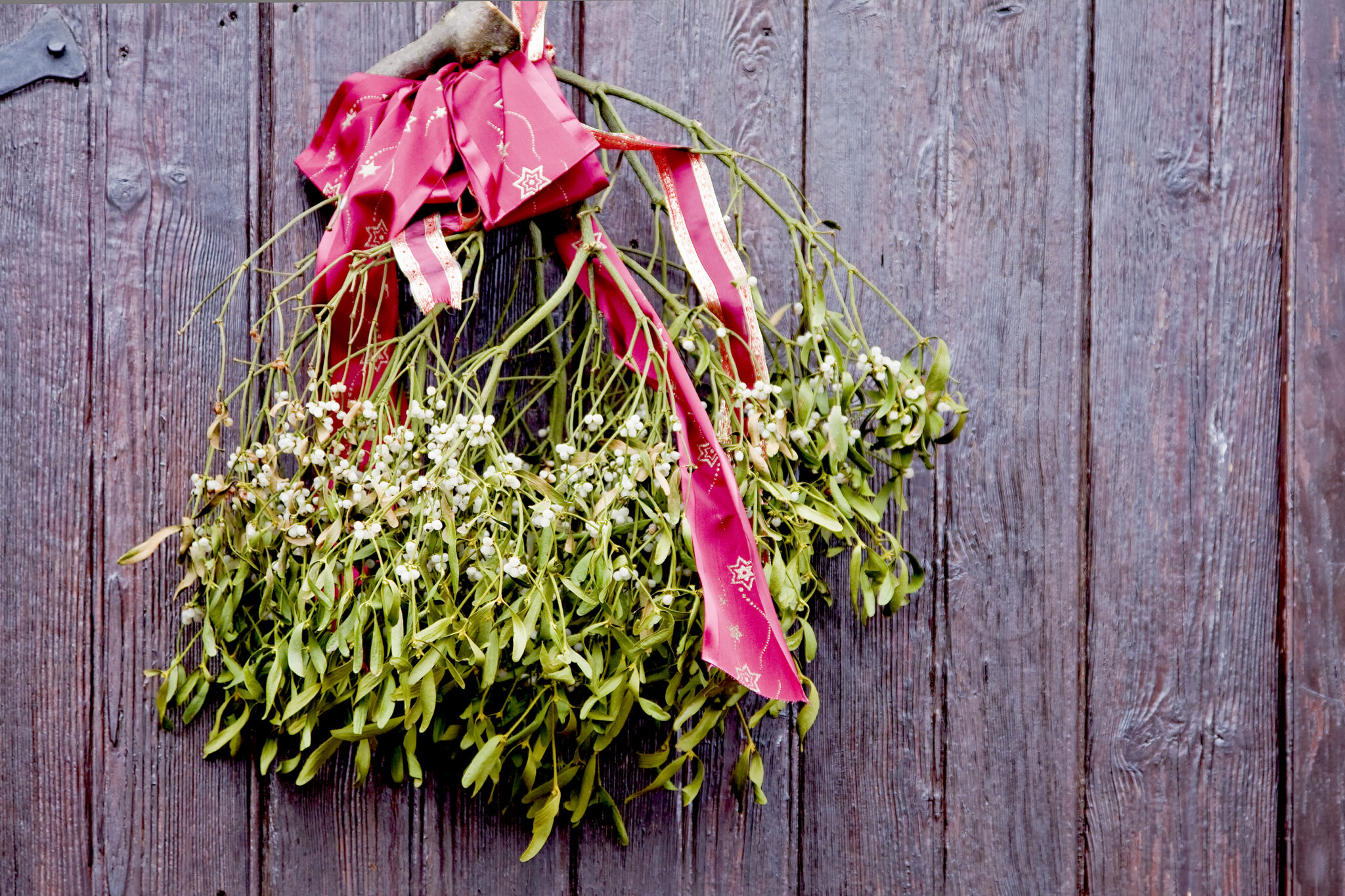 Vas zanima ozadje osnovnih božičnih simbolov? Morda vas nekatera