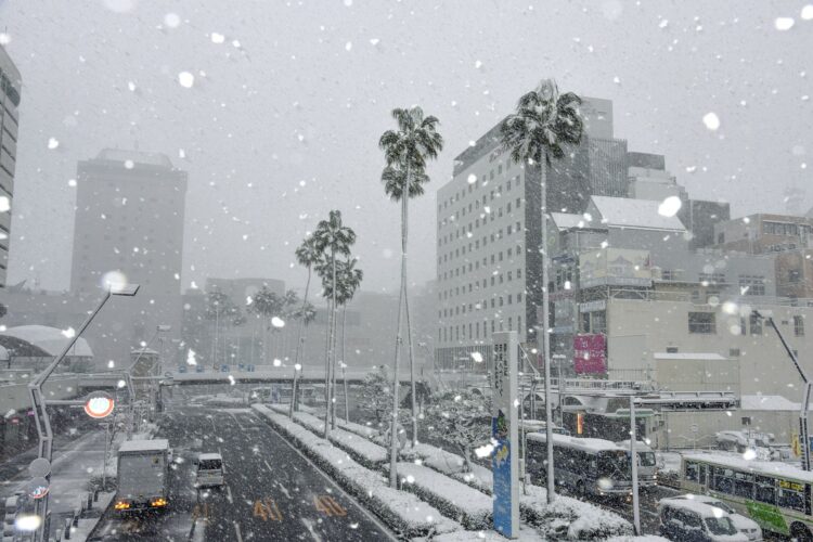 sneženje, japonska