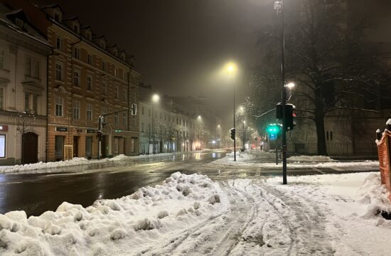 Sneg Ljubljana
