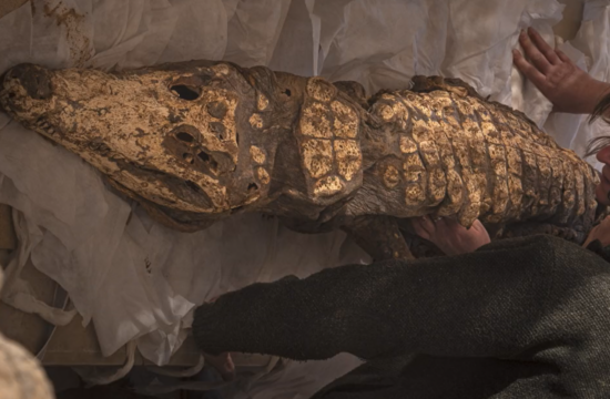 V Egiptu odkrili deset mumificiranih krokodilov