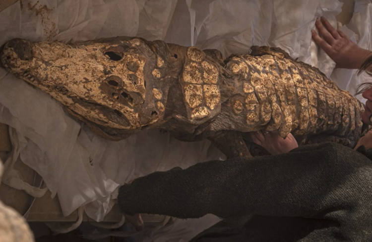 V Egiptu odkrili deset mumificiranih krokodilov
