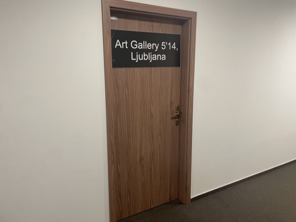 Art Gallery 5'14