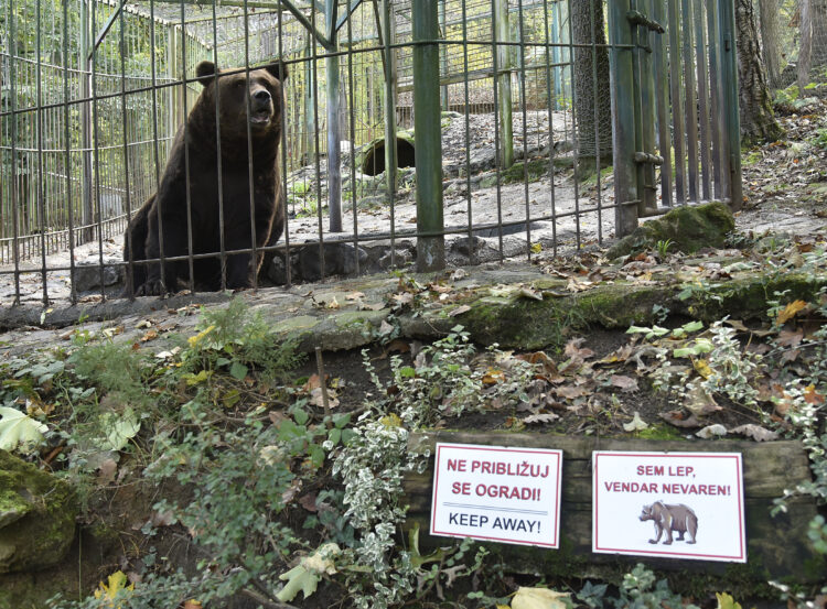 Zoopark Rožman