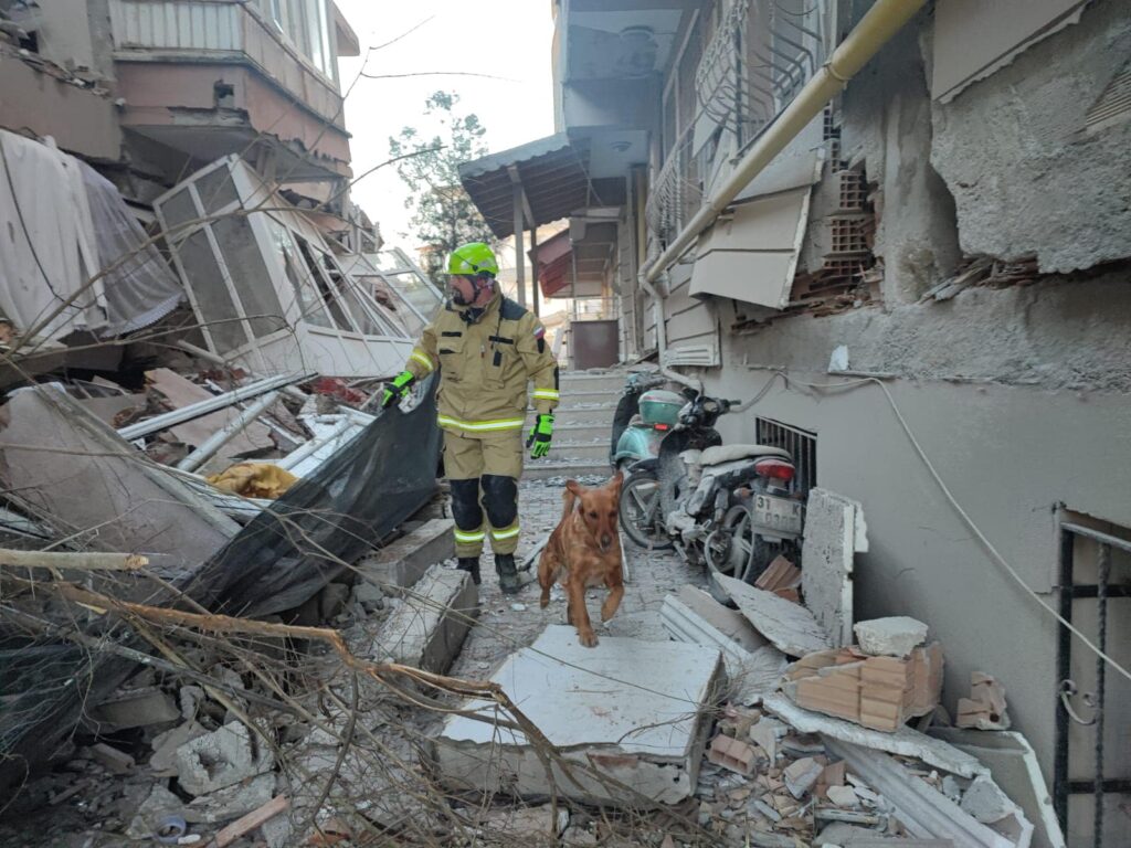 Reševalni psi Turčija
