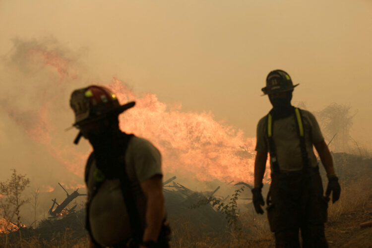 Požar v Čilu je uničil več sto tisoč hektarjev gozdov