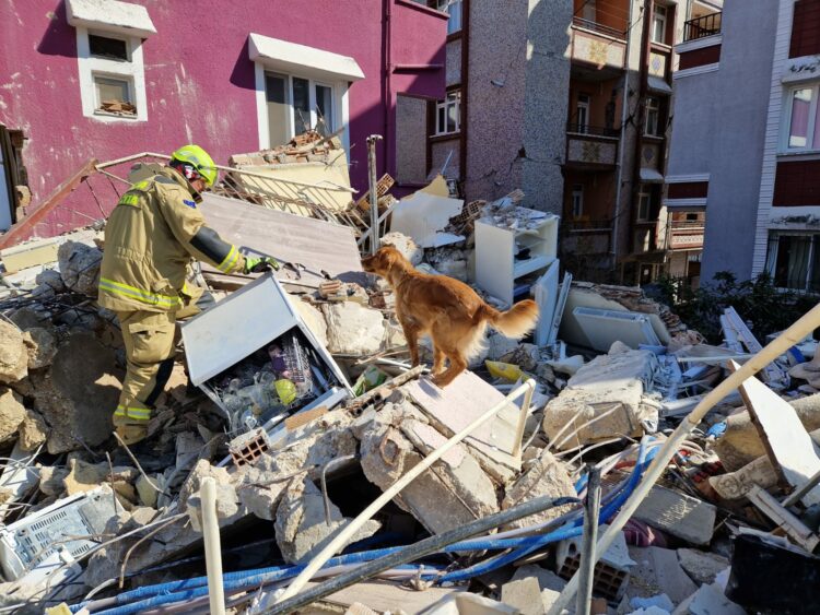 Slovenski reševalci v Turčiji