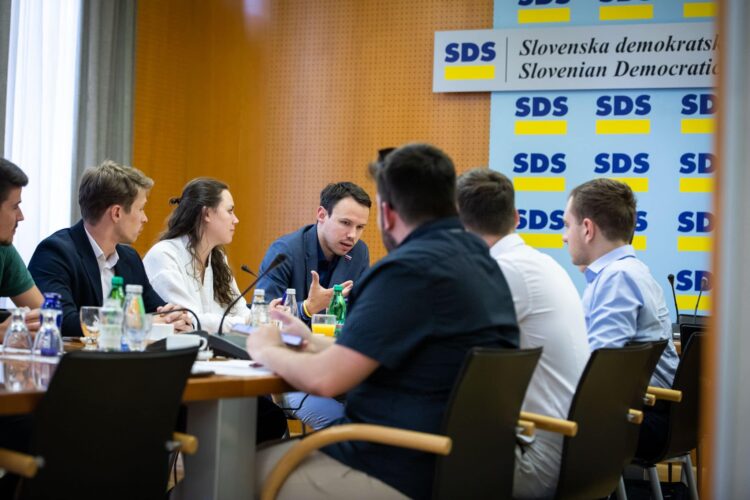 Slovenska demokratska mladina SDM