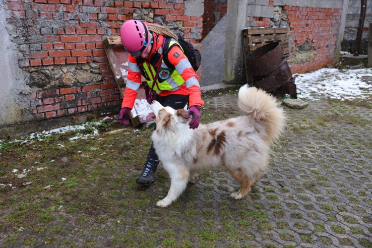 Psi reševalci, reševanje, pes, kuža