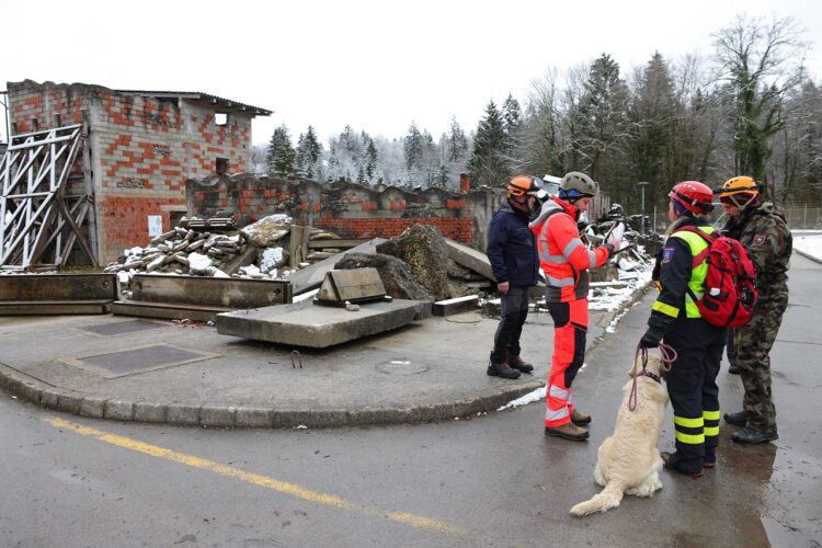 Psi reševalci, reševanje, pes, kuža
