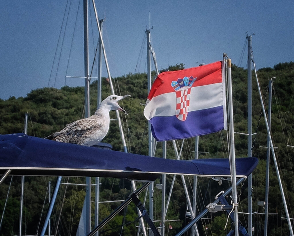 arbitraža, Hrvaška, morje